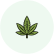 Shop smart with cannabis delivery deals in Miami | Compra de forma inteligente con ofertas de entrega de cannabis en Miami